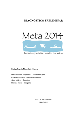 DIAGNOSTICO PRELIMINAR POLUICAO