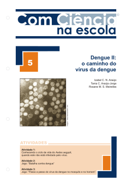 Dengue II: o caminho do v&iacute;rus da dengue