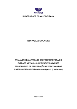 6 RESULTADOS
