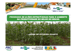 programa de a&ccedil;&otilde;es estrat&eacute;gicas para o aumento da produtividade