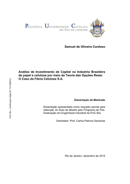 Samuel de Oliveira Cardoso An&aacute;lise de Investimento de Capital na