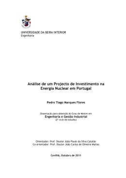 An&aacute;lise de um Projecto de Investimento na Energia