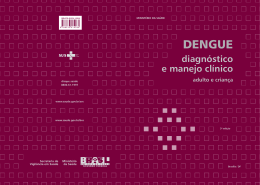 Dengue : diagnóstico e manejo clínico