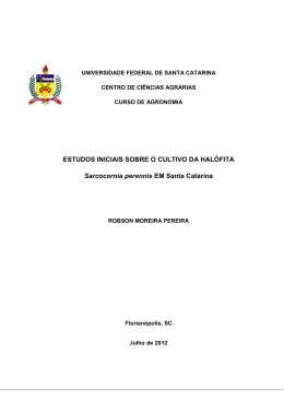 Robson Moreira Pereira