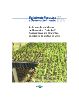 Aclimata&ccedil;&atilde;o de Mudas de Bananeira `Prata An&atilde;` Regeneradas em