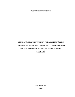 aplica&ccedil;&atilde;o da motiva&ccedil;&atilde;o para obten&ccedil;&atilde;o de um sistema de trabalho