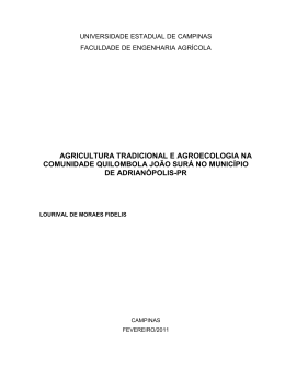 DISSERTAÇÃO_LOURIVAL DE MORAES FIDELIS
