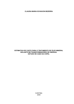 programa de p&oacute;s-gradua&ccedil;&atilde;o em desenvolvimento