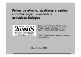 Folhas de oliveira, azeitonas e azeite