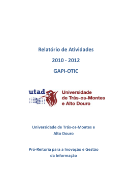 Relatório de atividades GAPI-OTIC 2010
