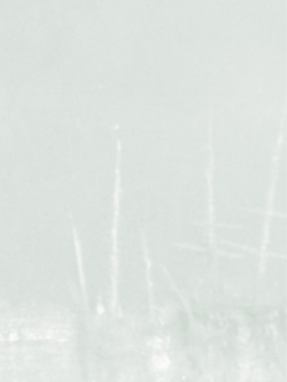 Comiss&atilde;o Revisora de Contas - Funda&ccedil;&atilde;o Calouste Gulbenkian