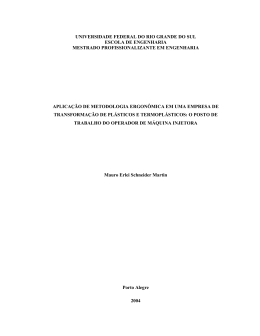 Aplica&ccedil;&atilde;o de metodologia ergon&ocirc;mica em uma empresa de
