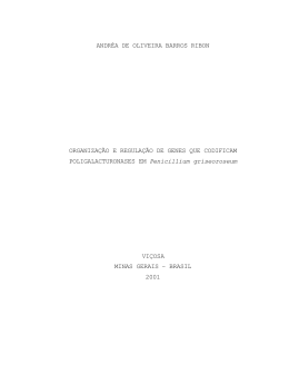 ANDR&Eacute;A DE OLIVEIRA BARROS RIBON ORGANIZA&Ccedil;&Atilde;O E