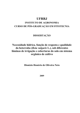 (Beta vulgaris L.), sob diferentes l&acirc;minas de irriga&ccedil;&atilde;o e