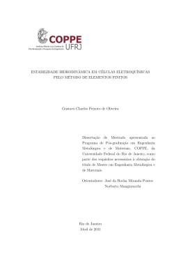 Estabilidade Hidrodin&acirc;mica em C&eacute;lulas Eletroqu&iacute;micas