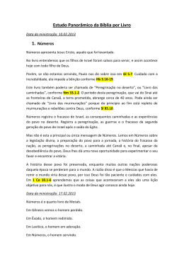 4-Estudo Panor&acirc;mico da B&iacute;blia por Livro &ndash; N&uacute;meros