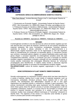 express&atilde;o g&ecirc;nica na embriog&ecirc;nese som&aacute;tica vegetal