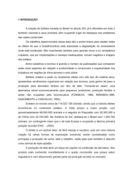 1 INTRODU&Ccedil;&Atilde;O A cria&ccedil;&atilde;o de b&uacute;falos iniciada no Brasil no s&eacute;culo