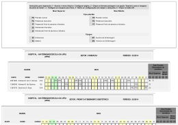 Nível Superior Nível Médio Tipo plantão Cargos HOSPITAL