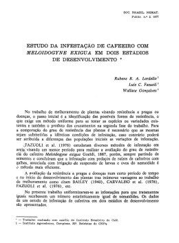 Café, M. exigua, dois estádios de desenvolvimento, 1977