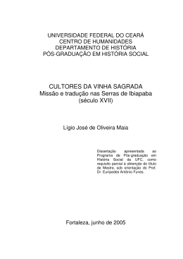 Disserta&ccedil;&atilde;o de Mestrado &ndash; LIGIO MAIA