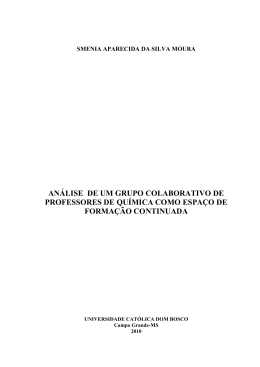 AN&Aacute;LISE DE UM GRUPO COLABORATIVO DE