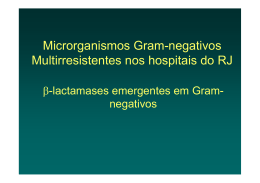 Microrganismos Gram-negativos Multirresistentes nos hospitais do RJ