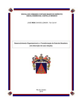 Desenvolvimento Organizacional e a Transforma&ccedil;&atilde;o do