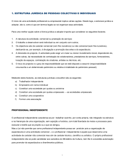 1. estrutura jur&iacute;dica de pessoas colectivas e