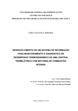 Disserta&ccedil;&atilde;o Ciro Colonna Ribeiro