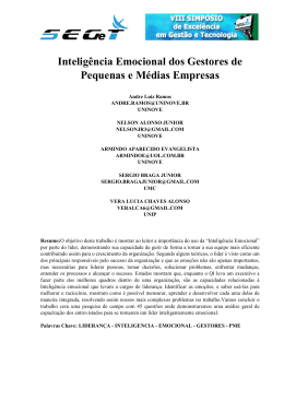 Intelig&ecirc;ncia Emocional dos Gestores de Pequenas e M&eacute;dias