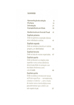 solid&atilde;o e multid&atilde;o. Rio de Janeiro: Civiliza&ccedil;&atilde;o