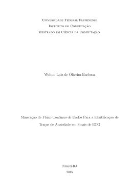 Welton Luiz de Oliveira Barbosa Minera&ccedil;&tilde;ao de Fluxo Cont&acute;ınuo de