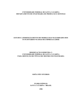 Estudo e aperfeiçoamento do modelo das maturidades dos