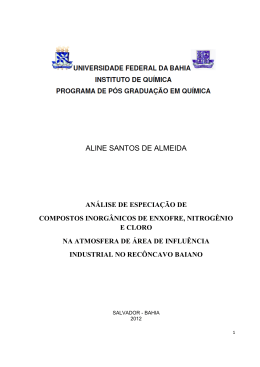 DISSERTA&Ccedil;&Atilde;O FINAL - RI UFBA