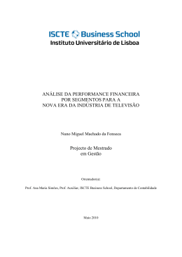 an&aacute;lise da performance financeira por segmentos para a nova era