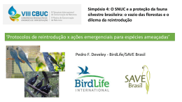 Pedro Develey - Fundação Grupo Boticário de Proteção à Natureza