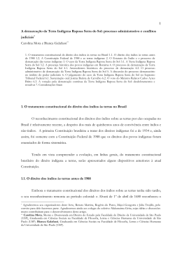 1 A demarca&ccedil;&atilde;o da Terra Ind&iacute;gena Raposa Serra do Sol