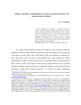 VIS&Otilde;ES E ABUS&Otilde;ES : PATRIM&Ocirc;NIO CULTURAL E