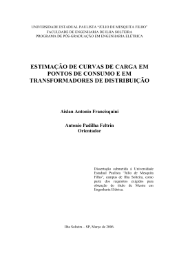 ESTIMA&Ccedil;&Atilde;O DE CURVAS DE CARGA EM PONTOS DE