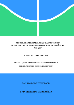DISSERTA&Ccedil;&Atilde;O DE MESTRADO - Universidade de Bras&iacute;lia