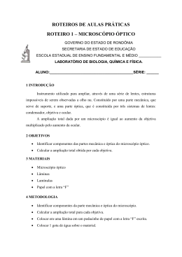 ROTEIROS DE AULAS PR&Aacute;TICAS ROTEIRO 1