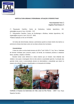 Emprego de &iacute;ndices de cor na escolha de mercado para