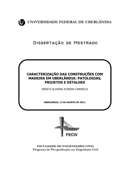 DISSERTA&Ccedil;&Atilde;O DE MESTRADO - RI UFU