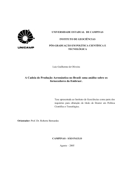 Visualizar - Biblioteca Digital da Unicamp