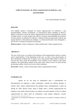 An&aacute;lise da forma&ccedil;&atilde;o e da cultura organizacional em