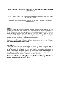 DESAFIOS PARA A GEST&Atilde;O OPERACIONAL DE PERFURA&Ccedil;&Atilde;O