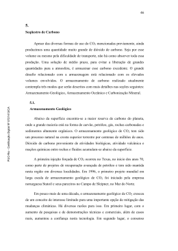 Estudo de alternativa de transporte de CO2 em dutos