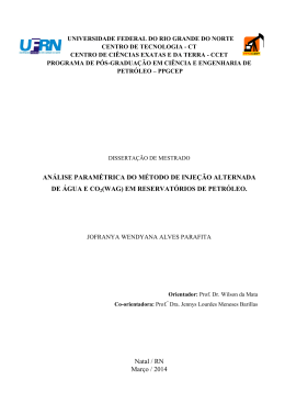 AN&Aacute;LISE PARAM&Eacute;TRICA DO M&Eacute;TODO DE INJE&Ccedil;&Atilde;O