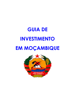 0706.Caiado Guerreiro - Guia de Investimento em Mo&ccedil;ambique